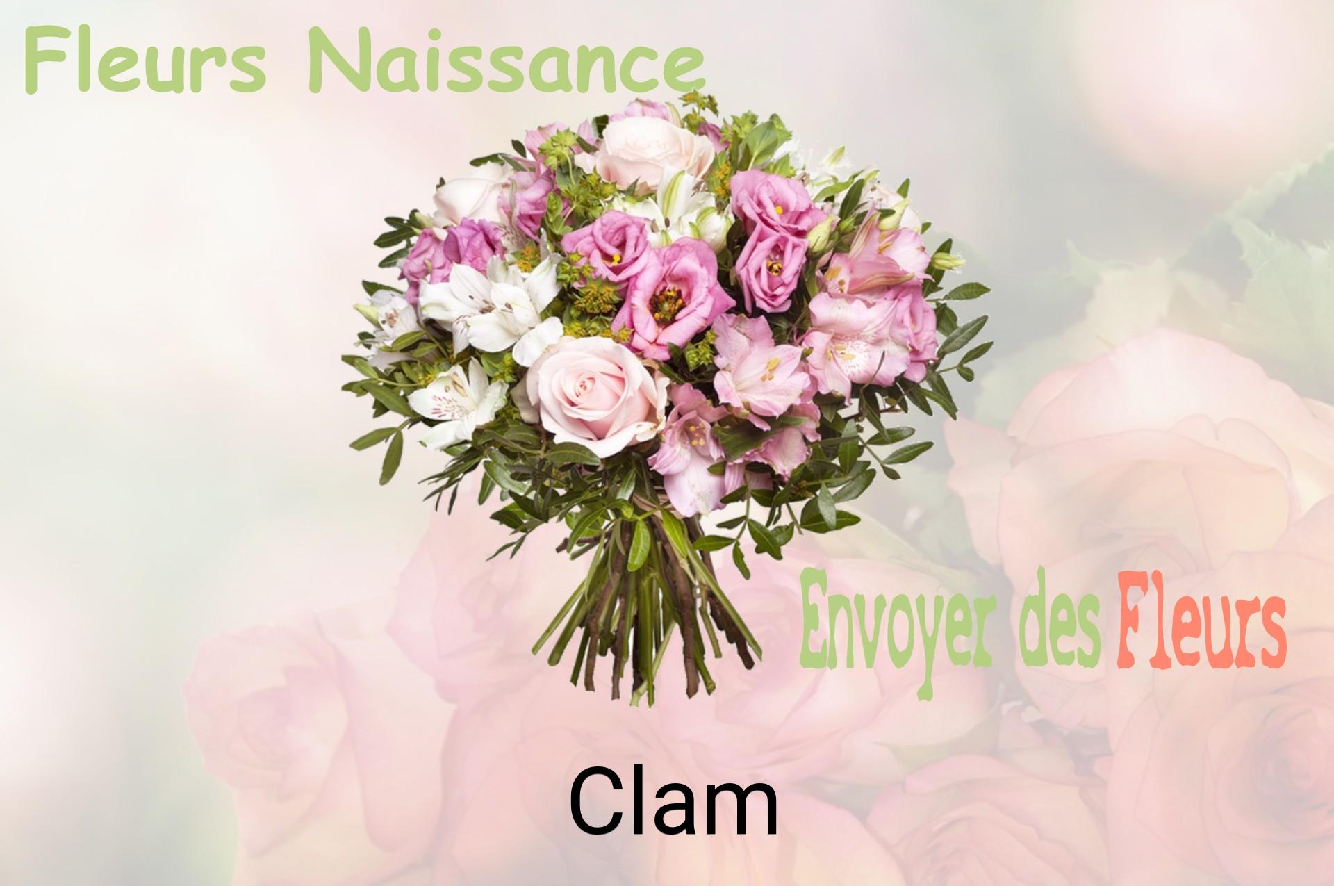 Bouquet de fleurs de naissance livré à Clam